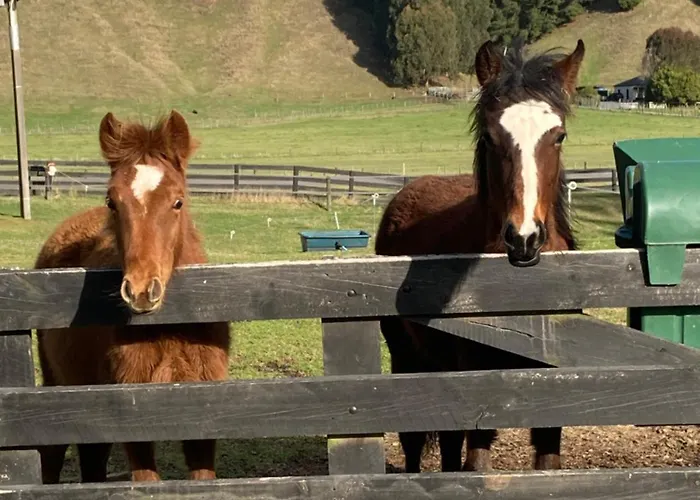 Taupo S Best Lifestyle Vacation