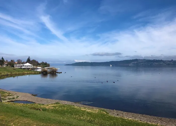 Affordable One Bedroom Apartment Lake Taupo C4